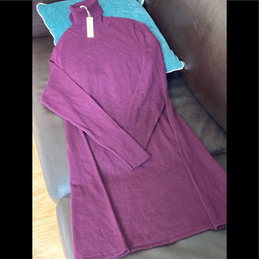 NWT turtleneck sweater tunic dress